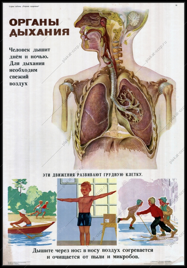 Оригинальный плакат СССР дети пульмонолог лечение органов легких медицина В А Беляев 1965