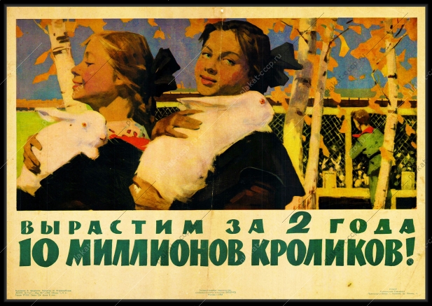 Оригинальный советский плакат вырастим за два года 10 миллионов кроликов