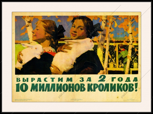 Оригинальный советский плакат вырастим за два года 10 миллионов кроликов