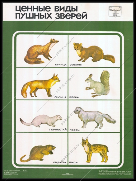 Оригинальный советский плакат охота ценные виды пушных зверей росохотрыболовсоюз 1988