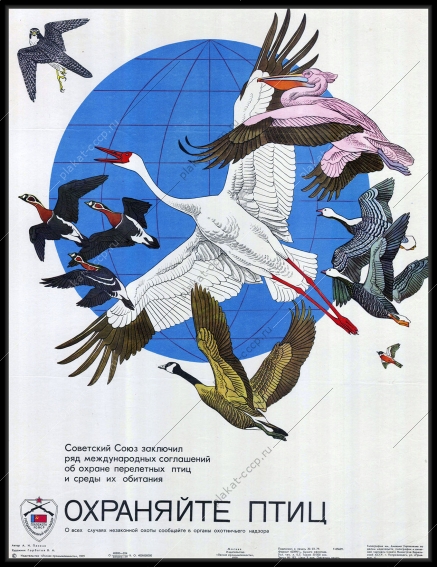 Оригинальный плакат СССР Главохота Государственный Охотнадзор охрана перелетных птиц охота 1979