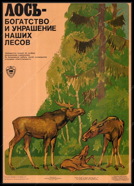 Оригинальный плакат СССР Охотнадзор Главохота охота на лосей 1974