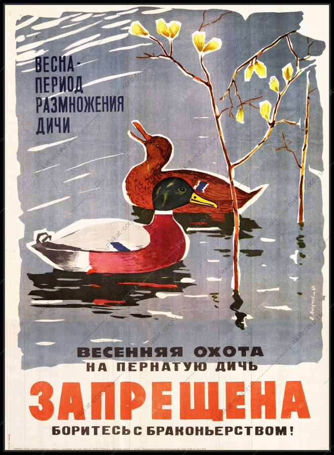 Оригинальный советский плакат весенняя охота на пернатую дичь запрещена боритесь с браконьерством