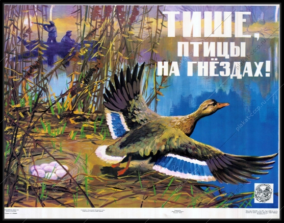 Оригинальный советский плакат СССР, художник А. А. Шкрабо, Тише, птицы в гнездах 1968 год