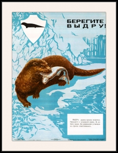 Оригинальный советский плакат СССР берегите выдру