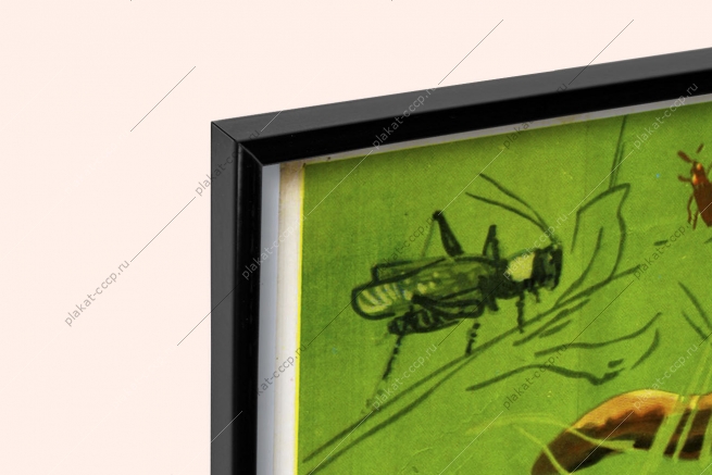 Оригинальный плакат СССР еж зеленый санитар