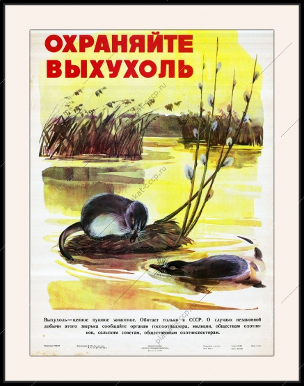 Оригинальный плакат СССР охраняйте выхухоль