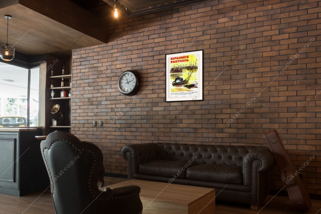 Оригинальный плакат СССР охраняйте выхухоль