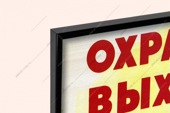 Оригинальный плакат СССР охраняйте выхухоль