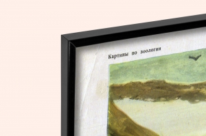 Оригинальный плакат СССР птицы вороньего рода