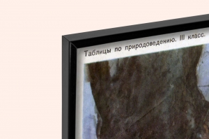 Оригинальный плакат СССР рысь
