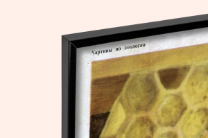 Оригинальный плакат СССР пчелы