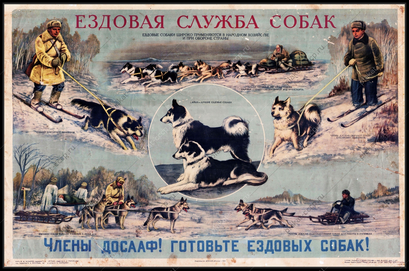 Оригинальный советский плакат ездовая служба собак ДОСААФ спорт лыжники север заполярье