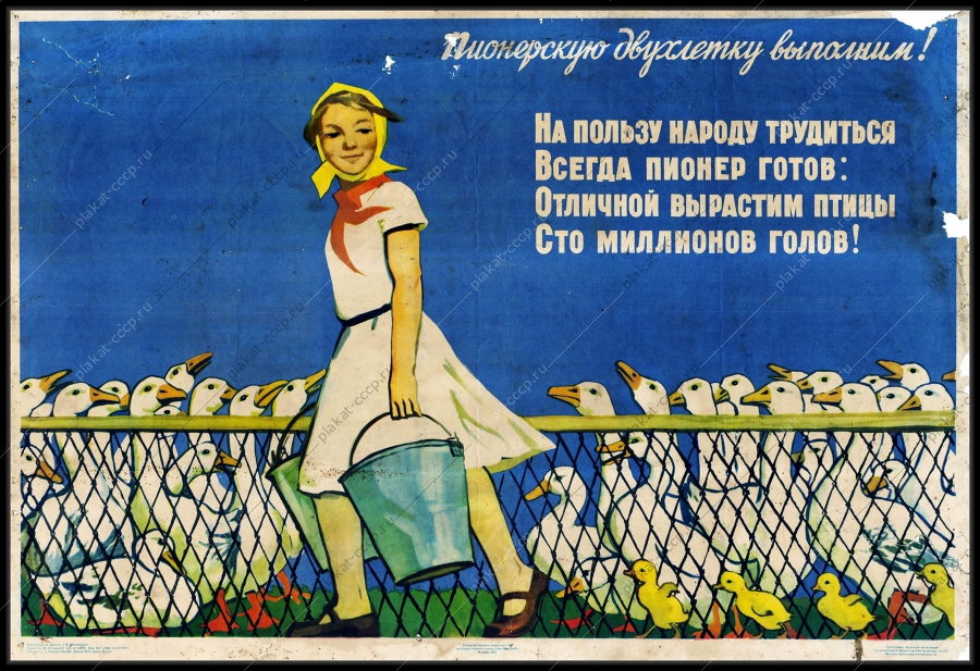 Оригинальный советский плакат птицеводство гуси пионеры пионерская двухлетка