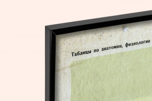 Оригинальный советский плакат значение тренировки сердца кардиология