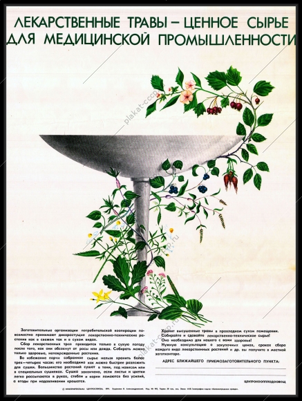 Оригинальный плакат СССР фармацевтика лекарственные травы аптека медицина