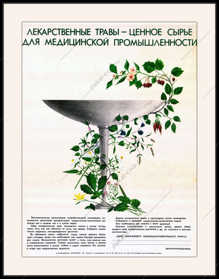 Оригинальный плакат СССР фармацевтика лекарственные травы аптека медицина