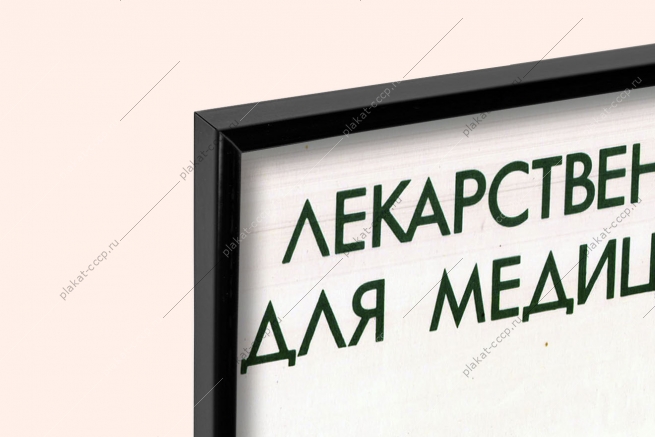 Оригинальный плакат СССР фармацевтика лекарственные травы аптека медицина