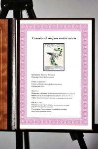 Оригинальный плакат СССР фармацевтика лекарственные травы аптека медицина