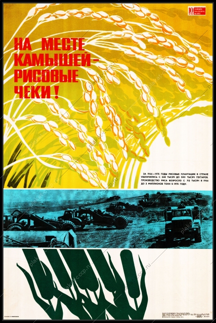 Оригинальный плакат СССР рис рисовая плантация на месте камышей рисовые чеки