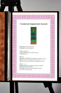 Оригинальный советский плакат выберем в Верховный Совет РСФСР достойных сынов и дочерей нашей Родины