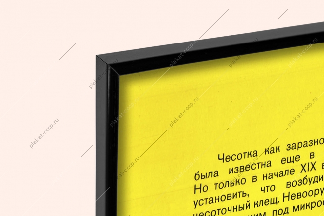 Оригинальный плакат СССР чесотка медицина