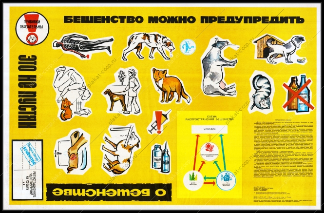 Оригинальный плакат СССР бешенство можно предупредить
