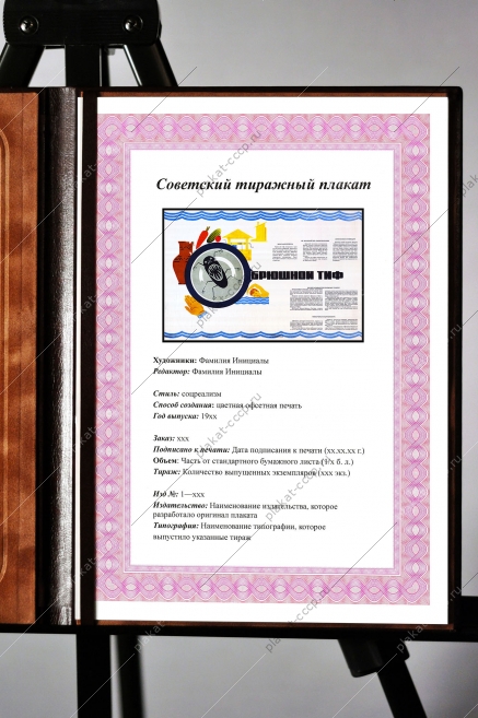 Оригинальный плакат СССР брюшной тиф
