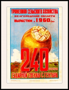 Оригинальный плакат СССР труженики Белгородской области сахарная свекла