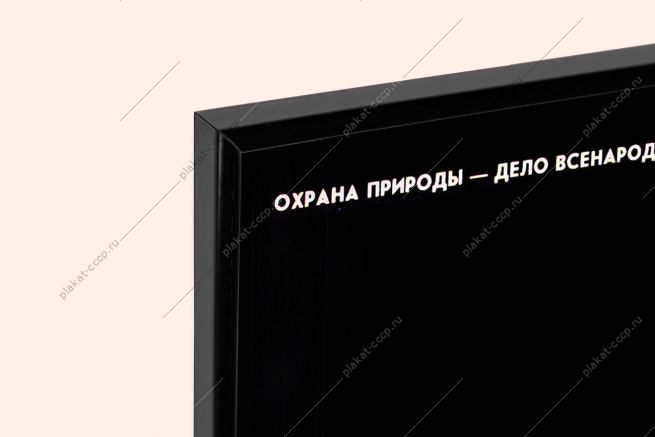 Оригинальный плакат СССР браконьерство