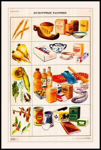 Оригинальный плакат СССР культурные растения