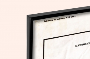 Оригинальный советский плакат СССР суточные нормы витаминов