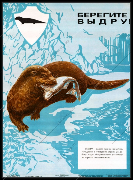 Оригинальный советский плакат СССР берегите выдру