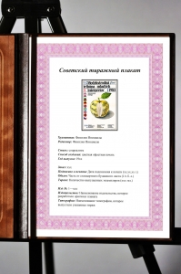 Оригинальный плакат Международная трибуна молодых исполнителе Братислава Словакия 1985 композитор музыка музыкальный совет ЮНЕСКО искусство