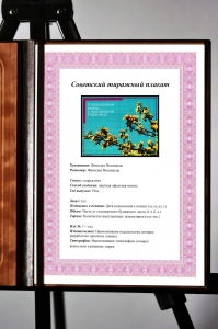 Оригинальный советский плакат СССР с праздником весны