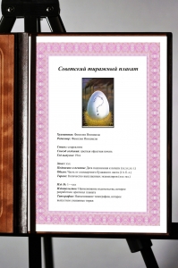 Оригинальный плакат СССР охрана окружающей среды дело всех и каждого экология