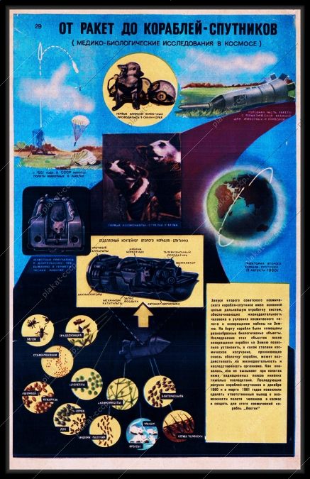 Оригинальный плакат СССР от ракет до кораблей спутников космонавты белка и стрелка