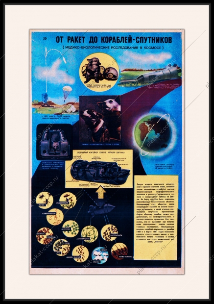 Оригинальный плакат СССР от ракет до кораблей спутников космонавты белка и стрелка