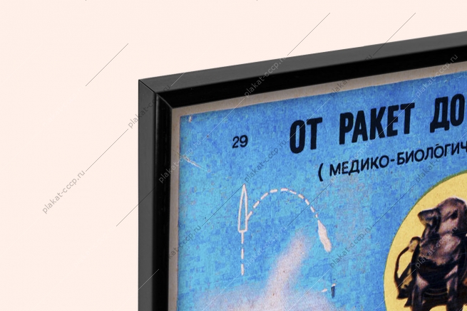 Оригинальный плакат СССР от ракет до кораблей спутников космонавты белка и стрелка