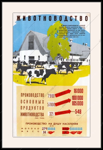 Оригинальный плакат СССР производство основных продуктов животноводства мясо КРС корова