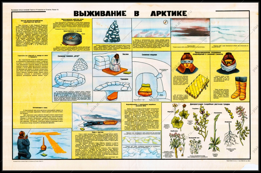 Оригинальный советский плакат выживание в Арктике летчик авиация