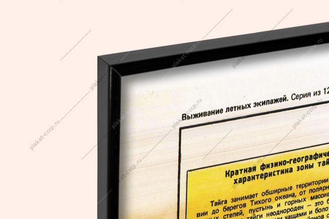 Оригинальный советский плакат выживание в Тайге летчики авиация